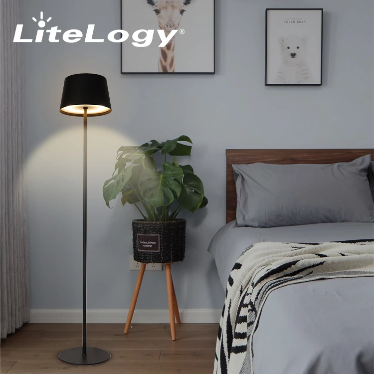 Modern Metal Floor Lamp